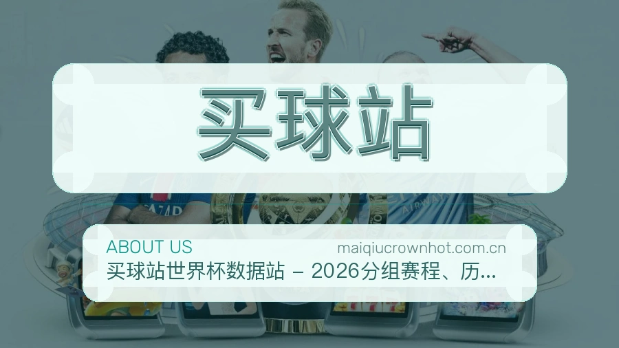 买球站平台简介
